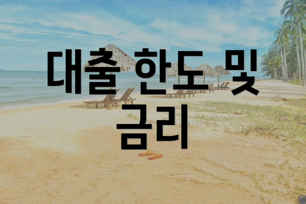 대출 한도 및 금리