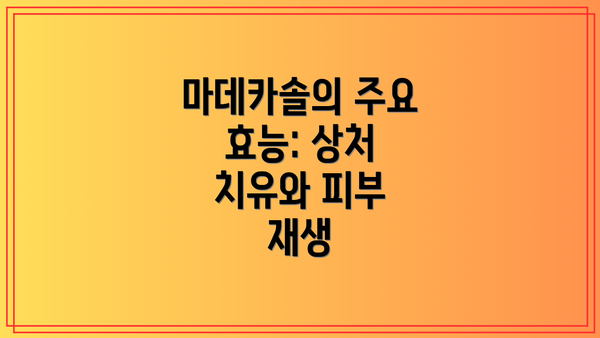 마데카솔의 주요 효능: 상처 치유와 피부 재생