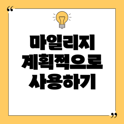 마일리지 계획적으로 사용하기