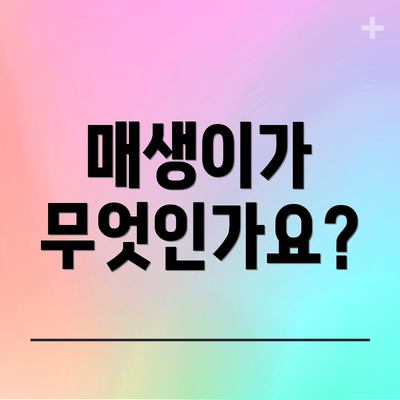 매생이가 무엇인가요?