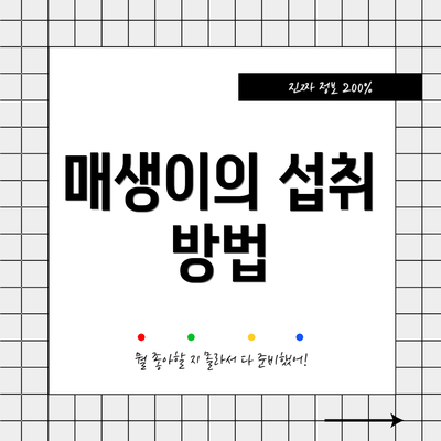 매생이의 섭취 방법