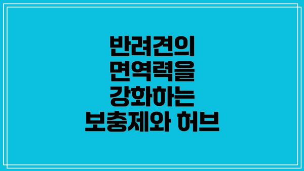 반려견의 면역력을 강화하는 보충제와 허브
