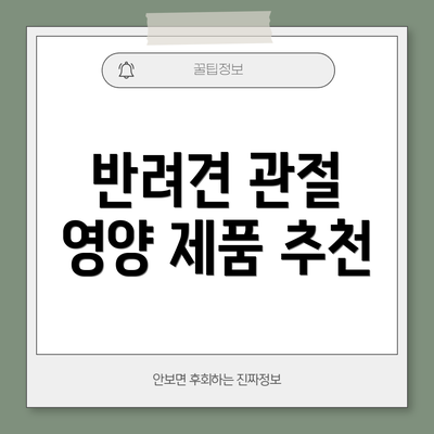 반려견 관절 영양 제품 추천