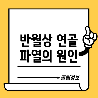 반월상 연골 파열의 원인