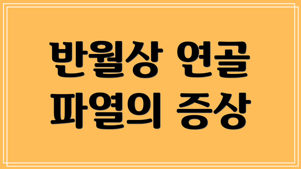 반월상 연골 파열의 증상