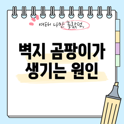 벽지 곰팡이가 생기는 원인