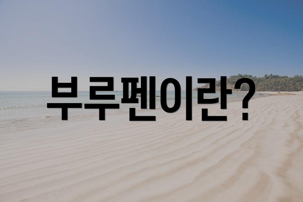 부루펜이란?