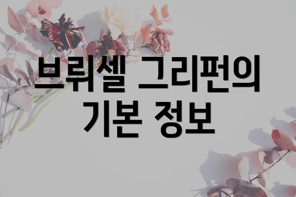브뤼셀 그리펀의 기본 정보