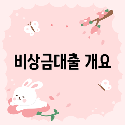 비상금대출 개요
