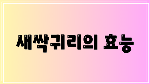 새싹귀리의 효능