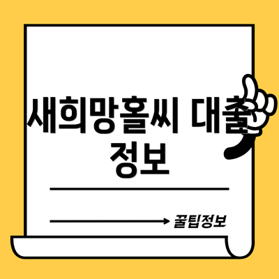 새희망홀씨 대출 정보