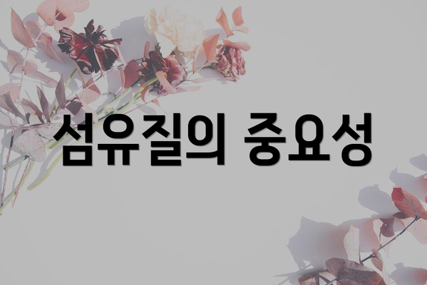 섬유질의 중요성