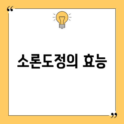 소론도정의 효능