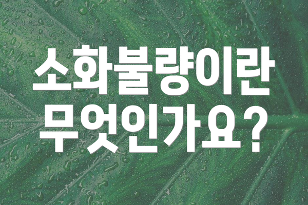 소화불량이란 무엇인가요?