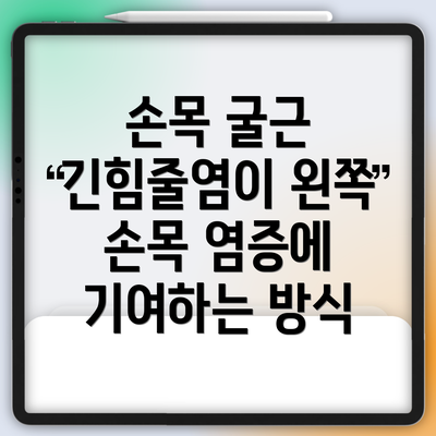 손목 굴근 긴힘줄염이 왼쪽 손목 염증에 기여하는 방식