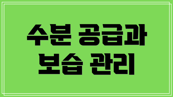 수분 공급과 보습 관리