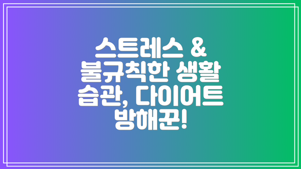 스트레스 & 불규칙한 생활 습관, 다이어트 방해꾼!