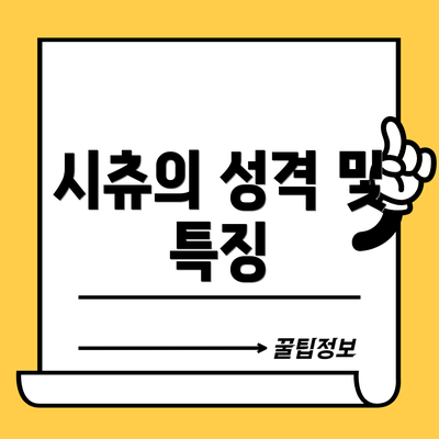시츄의 성격 및 특징