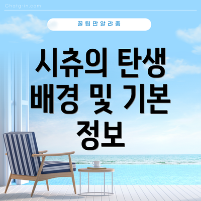 시츄의 탄생 배경 및 기본 정보