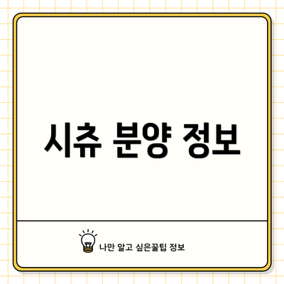 시츄 분양 정보