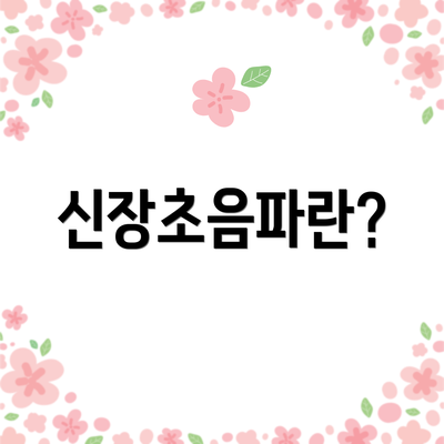 신장초음파란?