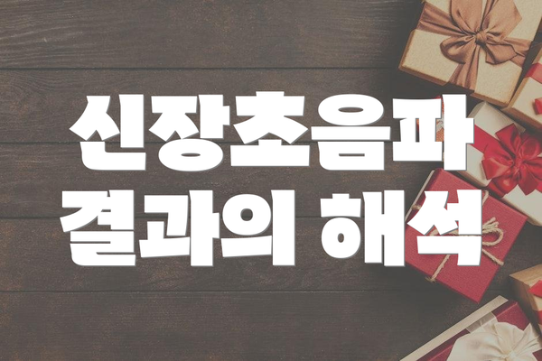 신장초음파 결과의 해석