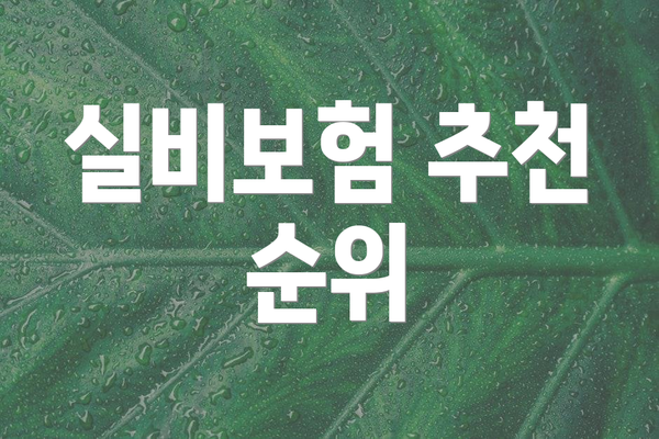 실비보험 추천 순위