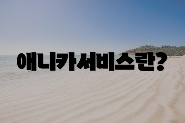 애니카서비스란?