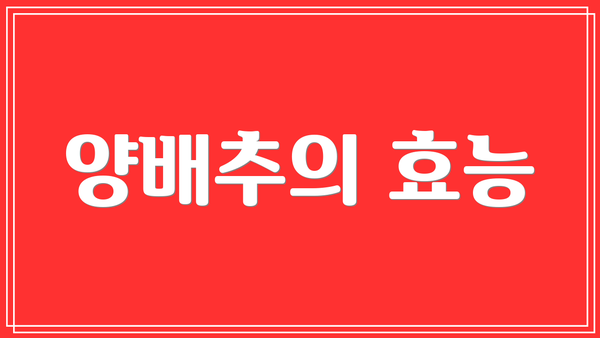 양배추의 효능