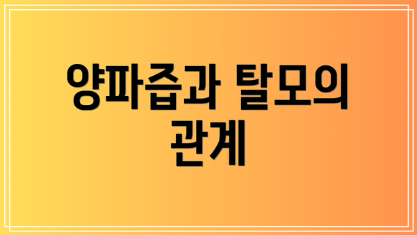 양파즙과 탈모의 관계