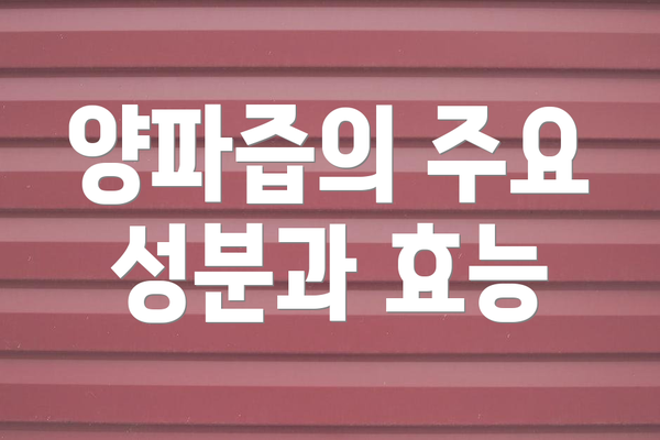양파즙의 주요 성분과 효능