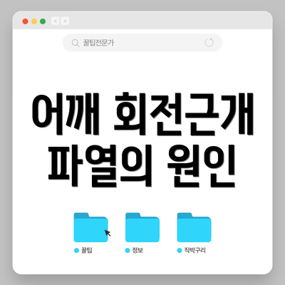 어깨 회전근개 파열의 원인