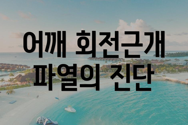 어깨 회전근개 파열의 진단