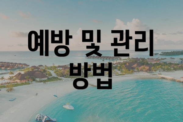 예방 및 관리 방법