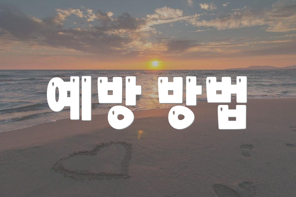 예방 방법