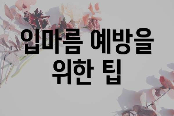 입마름 예방을 위한 팁