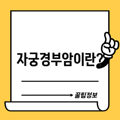 자궁경부암이란?