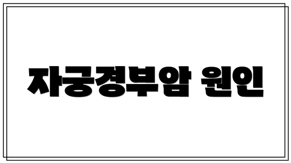 자궁경부암 원인