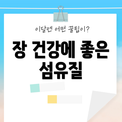 장 건강에 좋은 섬유질