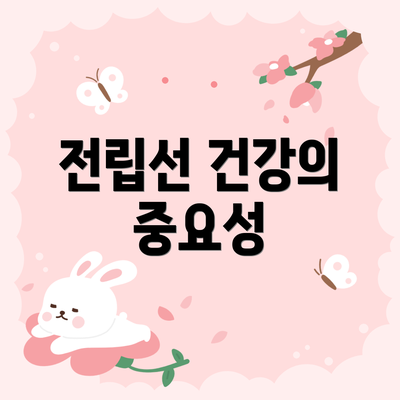 전립선 건강의 중요성