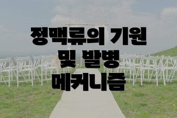 정맥류의 기원 및 발병 메커니즘