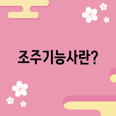 조주기능사란?