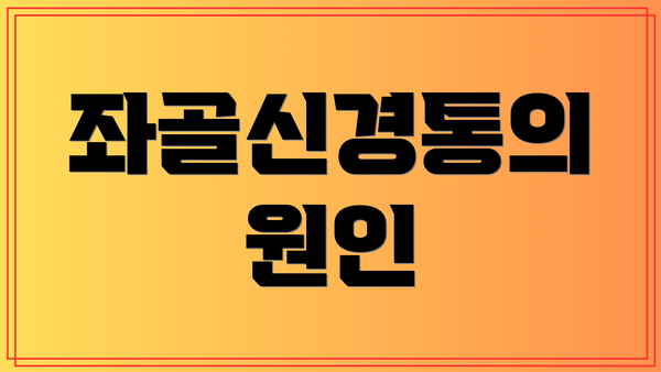 좌골신경통의 원인