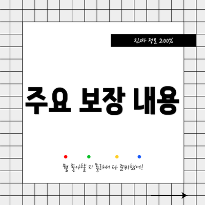 주요 보장 내용