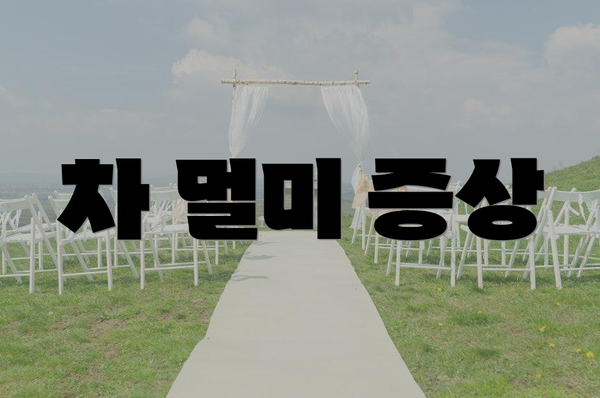 차 멀미 증상
