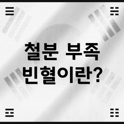 철분 부족 빈혈이란?