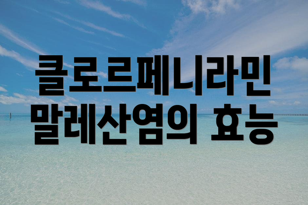 클로르페니라민 말레산염의 효능
