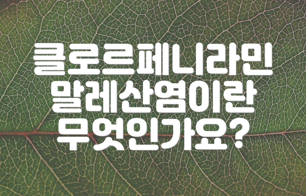클로르페니라민 말레산염이란 무엇인가요?