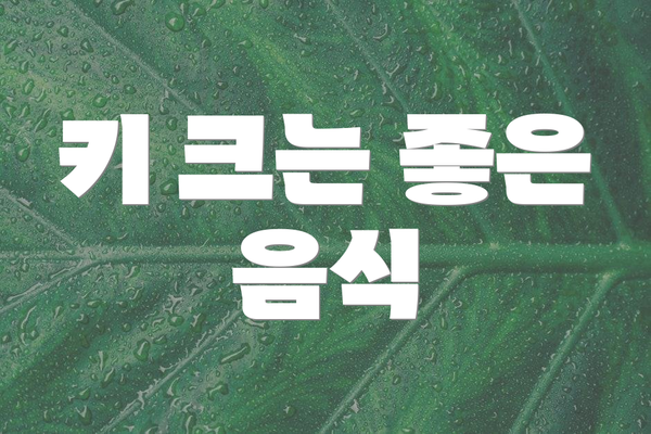 키 크는 좋은 음식