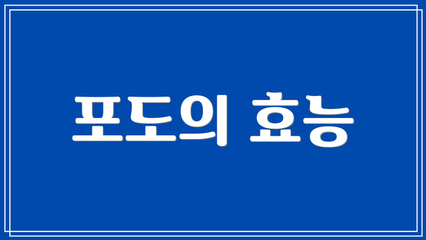 포도의 효능